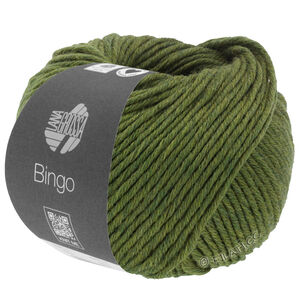 Lana Grossa BINGO Mélange (We Care) | 1013-olivengrønn