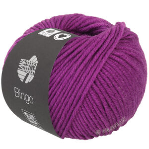 Lana Grossa BINGO  Uni/Melange | 761-orkide
