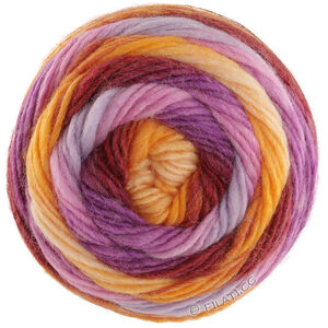 Lana Grossa COLORATO Aktion | 06-oransje/burgunder/fiolett/rosa/blålilla/gul