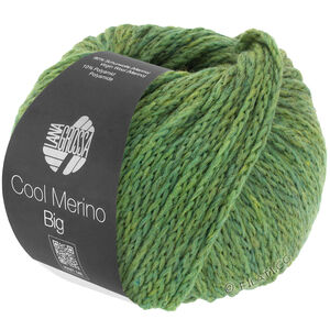 Lana Grossa COOL MERINO Big | 204-grønn