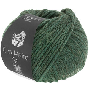 Lana Grossa COOL MERINO Big | 205-mosegrønn