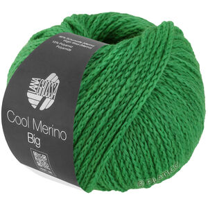 Lana Grossa COOL MERINO Big | 226-vårgrønn