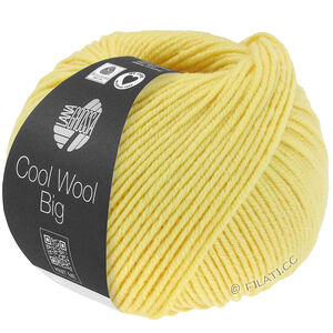 Lana Grossa COOL WOOL Big  Uni/Melange | 1028-grønngul