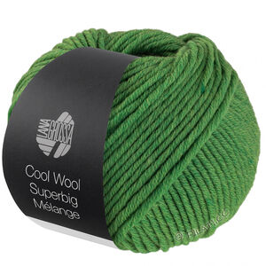 Lana Grossa COOL WOOL Superbig Mélange | 211-grønn melert