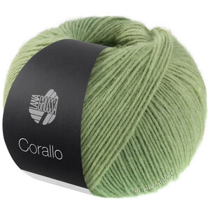 Lana Grossa CORALLO 100g | 09-grågrønn/salviagrønn/resedagrønn