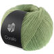 Lana Grossa CORALLO 100g | 09-grågrønn/salviagrønn/resedagrønn