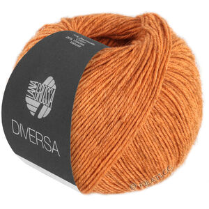 Lana Grossa DIVERSA | 21-oransje