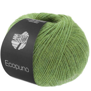 Lana Grossa ECOPUNO | 225-pæregrønn