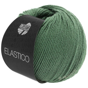 Lana Grossa ELASTICO | 141-resedagrønn