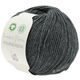 Lana Grossa FOURSEASON (Linea Pura) | 09-antrasitt