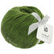 Lana Grossa LANDLUST MERINO 120 | 117-grønn