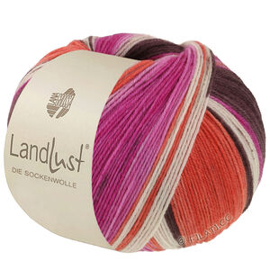 Lana Grossa LANDLUST DIE SOCKENWOLLE | 135-gråbrun/fuksia/ecru/terrakotta/orkide stripet