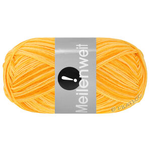 Lana Grossa MEILENWEIT 100g Aktion | 3050-