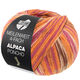 Lana Grossa MEILENWEIT 100g Alpaca Poncho | 2723-oransje/fuksia/creme/lyng/brun