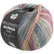 Lana Grossa MEILENWEIT 100g Alpaca Print | 2107-