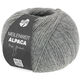 Lana Grossa MEILENWEIT 100g Alpaca | 2014-grå