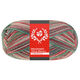 Lana Grossa MEILENWEIT 100g Merino Christmas | 6807-hvit/mørk grønn/mørk brun/oransje/lys grønn
