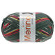 Lana Grossa MEILENWEIT 100g Merino Extrafine Appiano | 2557-