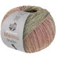 Lana Grossa MEILENWEIT 100g Merino Extrafine Shades | 7232-pastellgrønn/grågrønn/lys beige/beige/pink