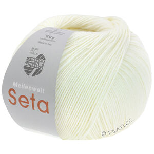 Lana Grossa MEILENWEIT 100g Seta | 24-briljanthvit