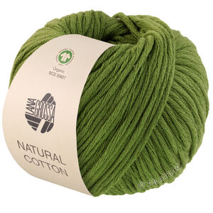 Lana Grossa NATURAL COTTON (GOTS) | 03-grønn