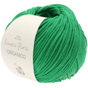 Lana Grossa ORGANICO (Linea Pura) | 129-grønn