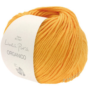 Lana Grossa ORGANICO (Linea Pura) | 165-eggeplommegul