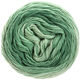 Lana Grossa SLOW WOOL LINO Dégradé | 203-pastellgrønn/grågrønn/patinagrønn