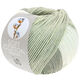 Lana Grossa SOFT COTTON Dégradé | 114-hvit/sølvgrå/lys grå/grå