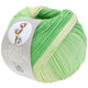 Lana Grossa SOFT COTTON Dégradé | 118-ecru/myk grønn/jade