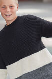 Lana Grossa PULLOVER Alta Moda Alpaca - German Edition