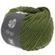 Lana Grossa BINGO Mélange (We Care) | 1013-olivengrønn