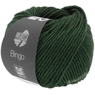Lana Grossa BINGO Mélange (We Care)