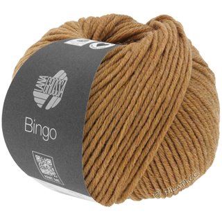 Lana Grossa BINGO Mélange (We Care)