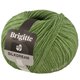 Lana Grossa BRIGITTE Silkdream | 19-grønn