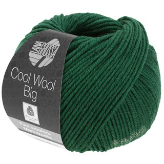 Lana Grossa COOL WOOL Big Uni/Melange