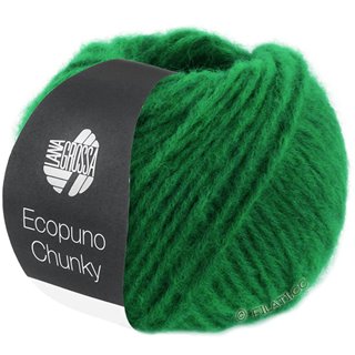 Lana Grossa ECOPUNO Chunky