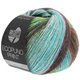 Lana Grossa ECOPUNO Print | 205-turkis/mynte/mørk brun/gulgrønn/taupe