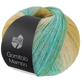 Lana Grossa GOMITOLO MAMBO