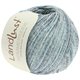 Lana Grossa LANDLUST SOMMERSEIDE Mélange | 106-mynte/jeans/grå