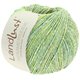 Lana Grossa LANDLUST SOMMERSEIDE Mélange | 113-grønngul melert