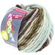 Lana Grossa LEI Mouliné/Color Mix/Spray (Ragazza) | 162-råhvit/gråbrun/antrasitt