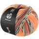 Lana Grossa MEILENWEIT 100g Cashmere Pista | 141-oransje/lys grå/mørk grå/brunoransje/lys grønn/lyng/bjørnebær/gråbrun stripet