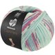 Lana Grossa MEILENWEIT 100g Cashmere Pista | 142-mynte/turkis/hvit/grå/lys blå/fuksia stripet