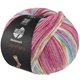 Lana Grossa MEILENWEIT 100g Cashmere Pista | 146-lys fuksia/mørk fuksia/hvit/oker/turkis/lys blå stripet