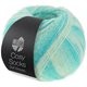 Lana Grossa MEILENWEIT 100g Cosy Socks Soft Stripes | 102-