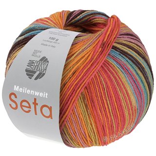 Lana Grossa MEILENWEIT 100g Seta Asia