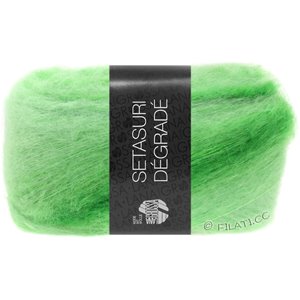 Lana Grossa SETASURI Dégradé | 103-myk grønn/lys grønn/eplegrøn
