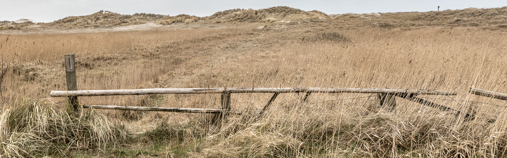 Service og hjelp Leveringskostnader