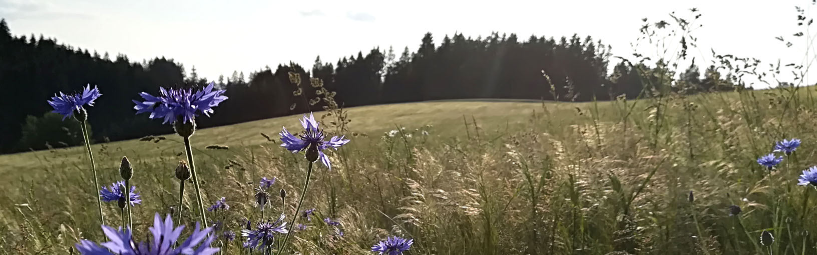 Gratis Strikkeoppskrift / Hekleoppskrift når du bestiller garn Modellpakke | Hjem og dekorasjon